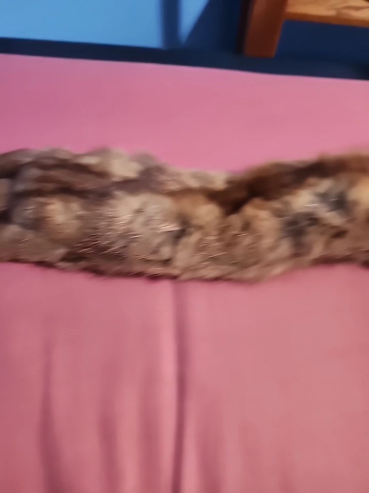 Piel de zorro rojo pieles de cuero suave mullido piel con cola larga Foto 3 de 4