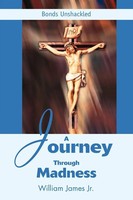 William James | A Journey Through Madness | Taschenbuch | Englisch (2003)