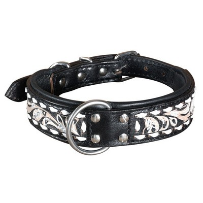 BH Small Hilason Heavy Duty Handpainted Genuine Leather Dog Collar Black with