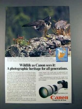 1982 Canon New F-1 Camera Ad - Peregrine Falcon!