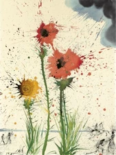 Spring Explosive By Salvador Dali - Quality Matte Print - FRAME ME