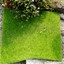 thumbnail 1 - Fake Lawn Artificial Grass Dollhouse Miniature Ornamen Craft Fairy Garden Decor