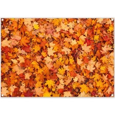 ZTHMOE Fabric 7x5ft Fall Maple Leaves Backdrop Thanksgiving 7'x5', Orange