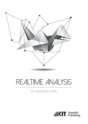 Daniel Becker | Realtime Analysis of Large-Scale Data | Taschenbuch | Englisch