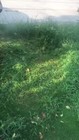 Video 1 of 1
