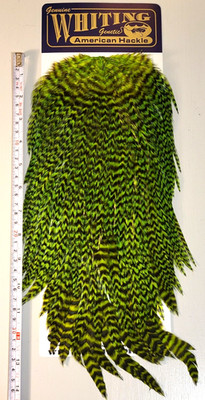 Whiting American Rooster Saddle, Grizzly Dyed Fluor. Green Chartreuse, Fly Tying