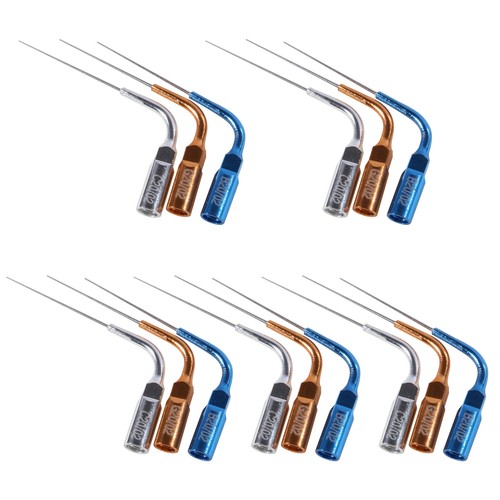 Endo Dentale Ultra Attivatore Ultrasuoni Endo Irrigatore Canale Radice Manipolo Punta - Foto 20 di 22