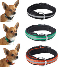 Reflective Padded Collar for Small Size Dogs up to 11 lbs 5kg Neck Size 6  - 11"