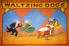 FREAK GEEK CIRCUS WALTZING DOGS DANCE PUPPY ON CRIB VINTAGE POSTER REPRO