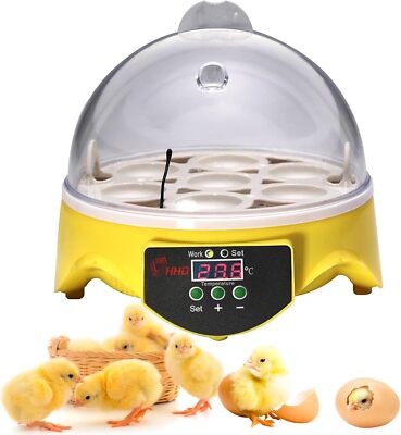 Mini Incubator with Temperature Control 360° View 7 Egg Poultry Incubator