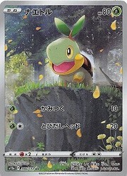 Turtwig Art Rare 206/172 VSTAR Universe