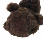 Bild 7 von 10
