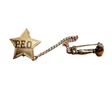 Vintage PEO Sisterhood Sorority Pin with Gavel Vintage 10K 