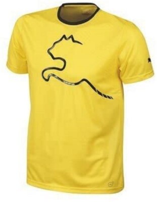 PUMA IT King Graphic Tee Trainingsshirt Freizeitshirt