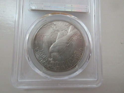 1921 PCGS MS64 CAC High Relieve Peace - Imagen 7 de 9
