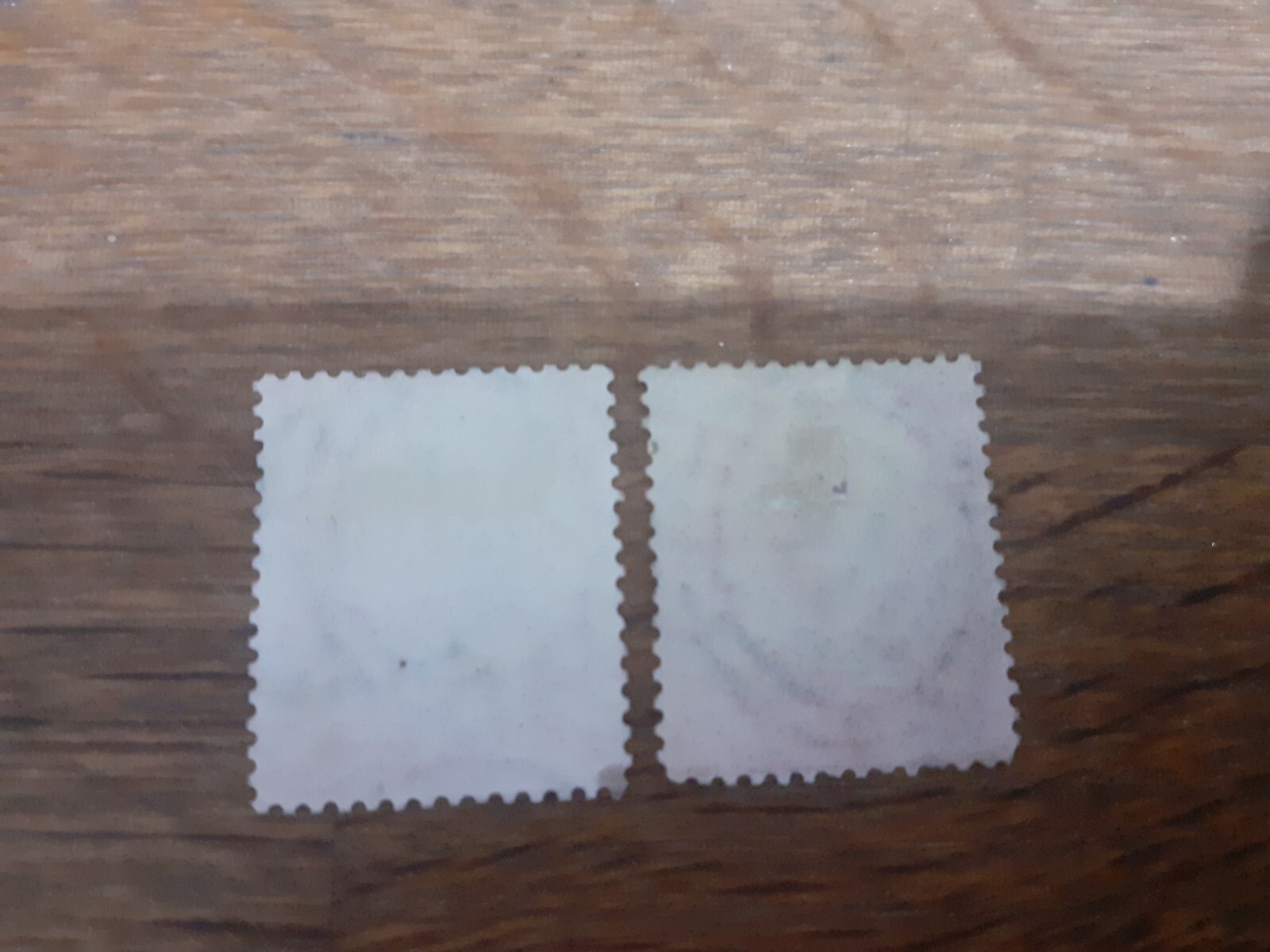 Foto 2 di 2