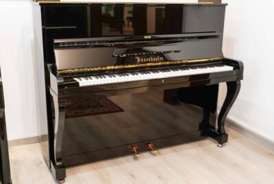 Bösendorfer 120 (3'9'')
