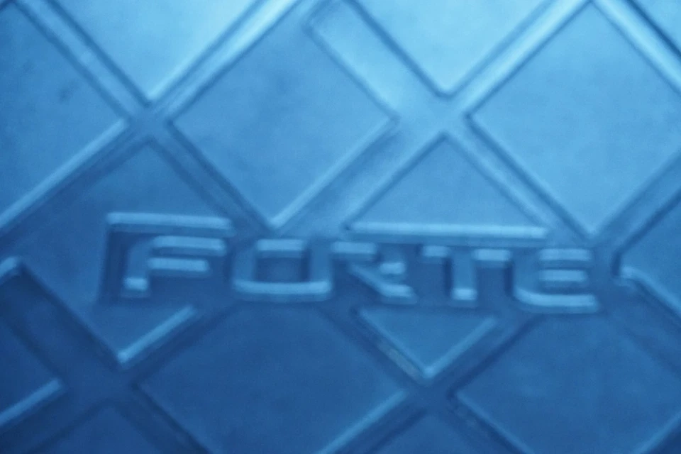 KIA FORTE 2011-2013 SEDÁN MALETERO TRASERO EQUIPAJE DE CARGA REVESTIMIENTO ALFOMBRILLA DE GOMA OEM Foto 2 de 4