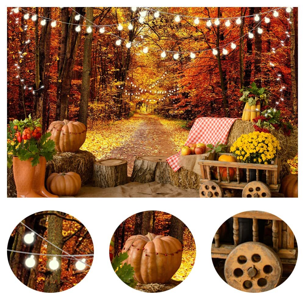 Autumn Scenery Backdrop Thanksgiving Pumpkin Harvest Fall Leaves