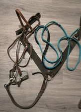 Leather Bridle, Nylon Breastplate, Blue Reins Tack Lot