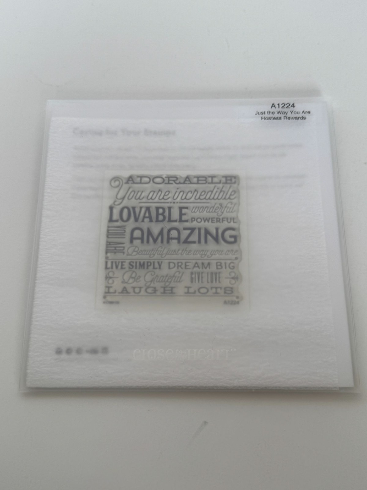 CTMH My Acrylix Acrylic Stamp A1224 Just The Way You Are Words Adorable Lovable