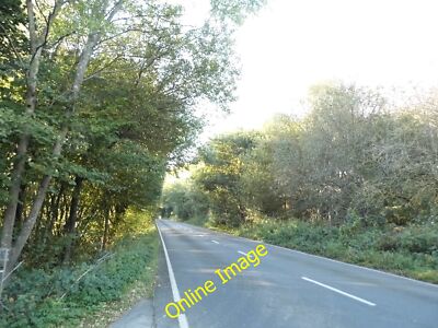 Photo 6x4 Elstead Road entering Elstead Peper Harow Royal Common is on th c2012