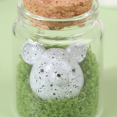 Adopt Rock A Pet In A Jar With Adoption CertificateSmiling Rocks Perfect Gift
