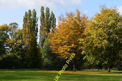Photo 6x4 Autumn in the park, Tilehurst, Berkshire Purley on Thames  c2015