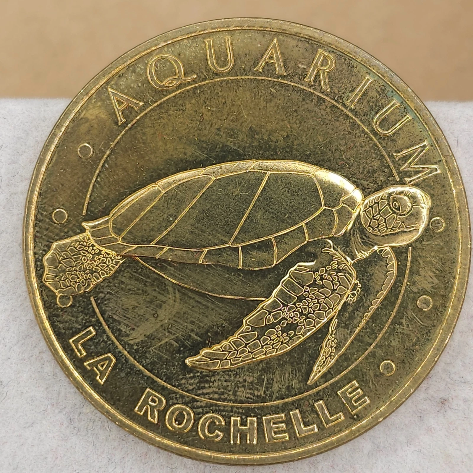 Aquarium - La Rochelle - Tortue 2020 Charente-Maritime 17 Monnaie de Paris