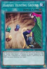 Harpies' Hunting Ground - SS02-ENC13 - Common - 1st Edition - YuGiOh