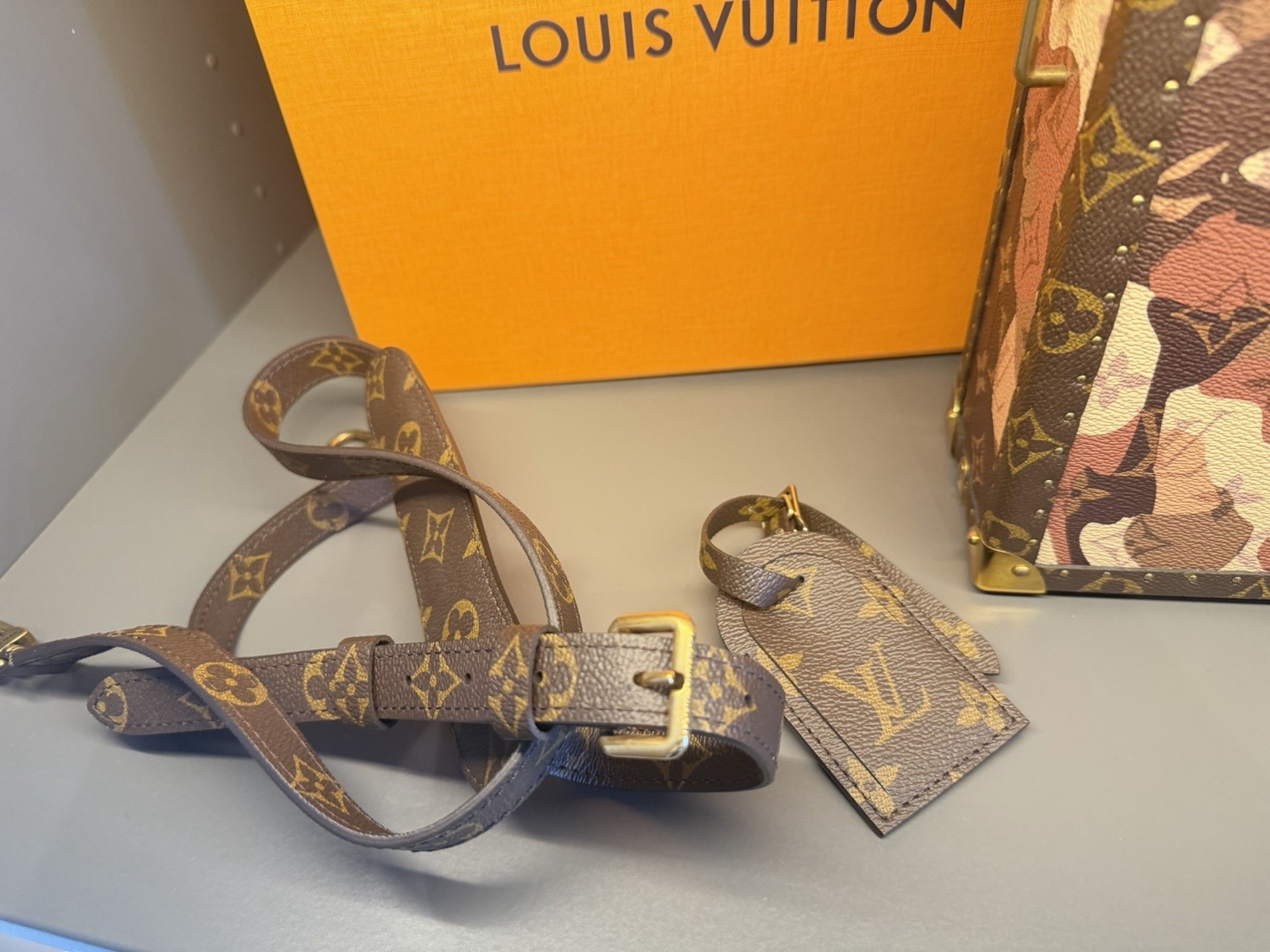 Extremely Rare Louis Vuitton Hard Back Bag image 8