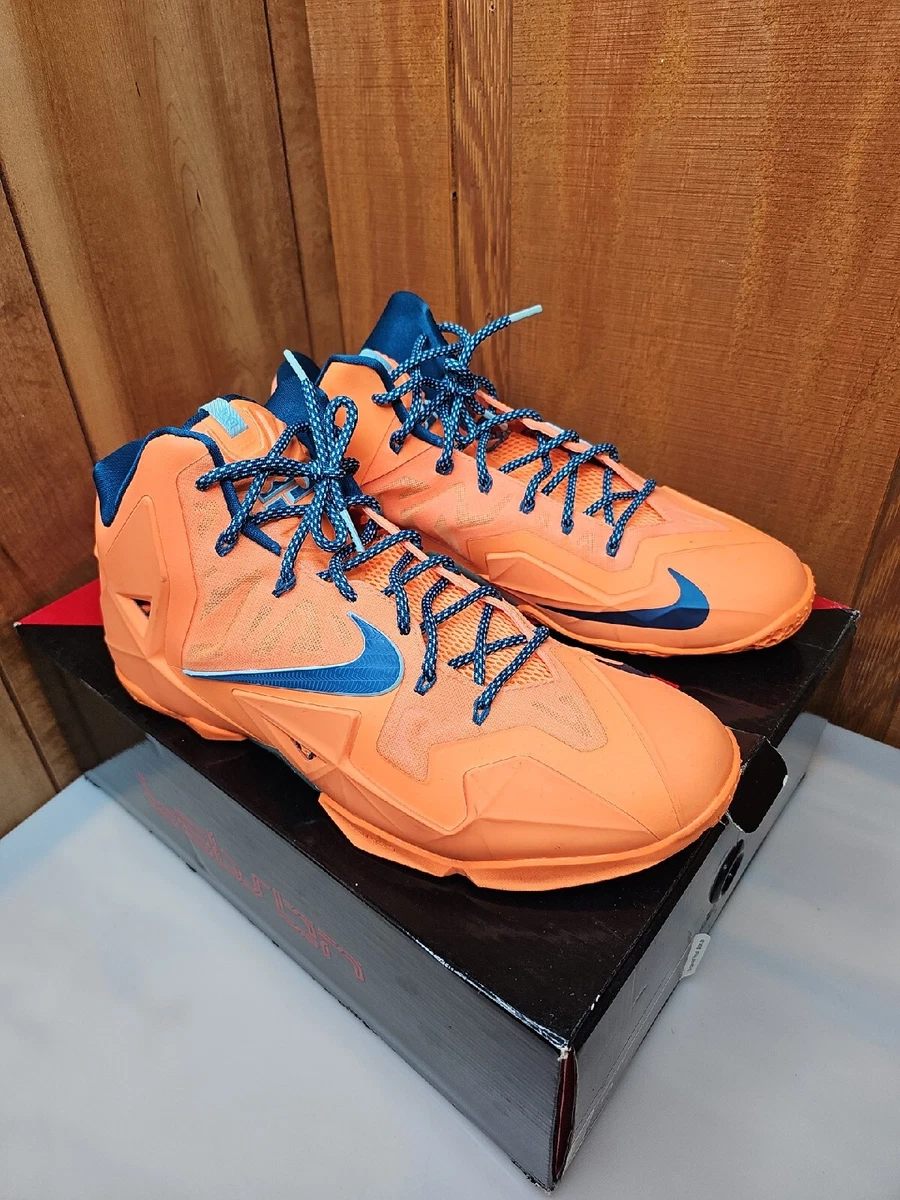Lebron 11 knicks sale