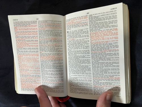 HOLY BIBLE KING JAMES Self-Pronouncing Red-Letter Ed JERUSALEM OLIVE WOOD - Imagen 15 de 22