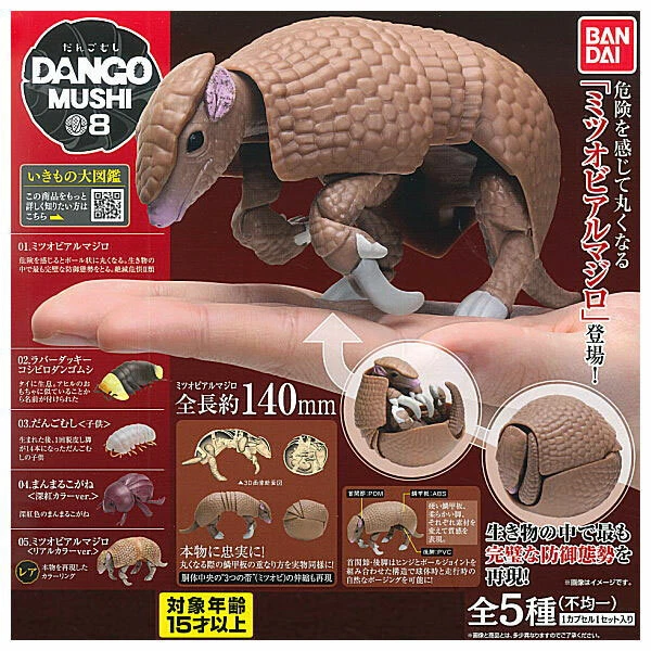 Armadillo Food Web Biology Diagrams