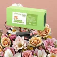 Green 24V 30Ah ebike Battery For Electric Bike Lithium li-ion Battery