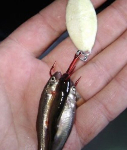 * Fishing Lures ALL SUPER GLOW IN THE DARK RATTLING CASTING JIGGING SPOON BAIT - Picture 15 of 17