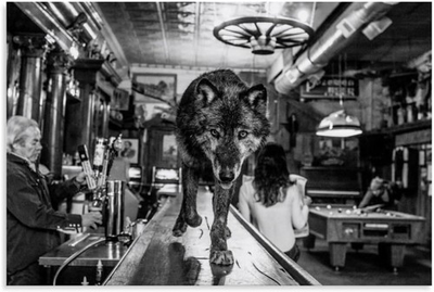 #ad David Yarrow Wolf Bar Montana Black White Poster Wall Art Unframed 24x36 $25.99