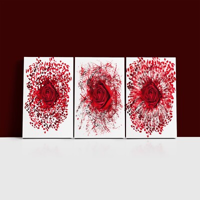 CLOSE UP OF RED ROSE EXPLOD 3er Set Posterdruck und 3x gerahmte Leinwand Wandbild