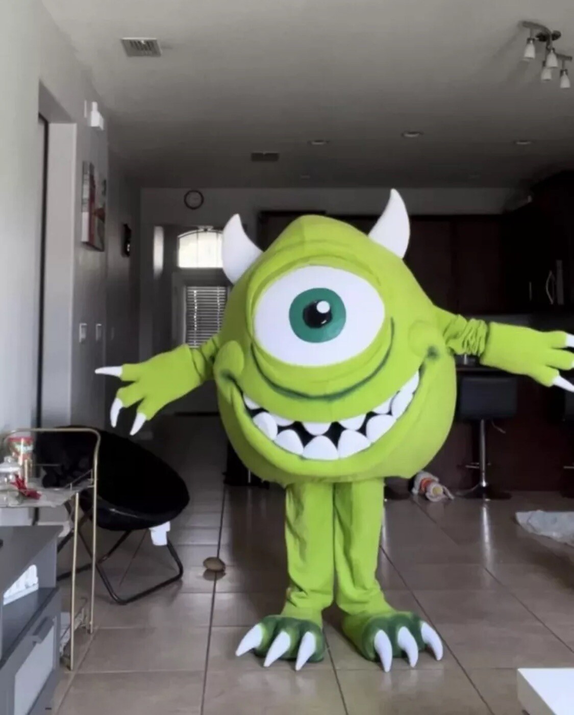 mascot costume adult