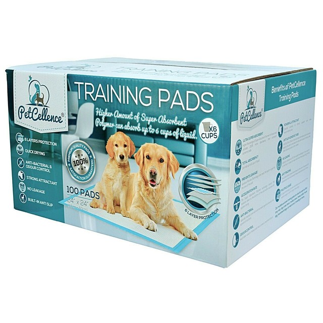 potty training pads
