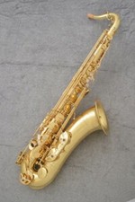 Yanagisawa T-WO10 Bb Tenor Saxophone Gold Brass Lacquered w/ Semi Hard Case