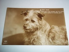 Scruffy Terrier vintage postcard