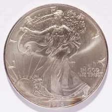 1996 Silver American Eagle Dollar