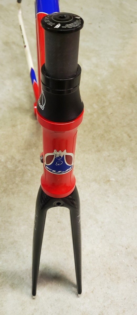 Unbuilt Fuji Team Issue Frameset circa. early 2000's | eBay
