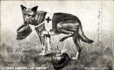 Künstler Ak Le Chien sanitaire, et patriote, Sanitätshund pinkelt... - 4787567