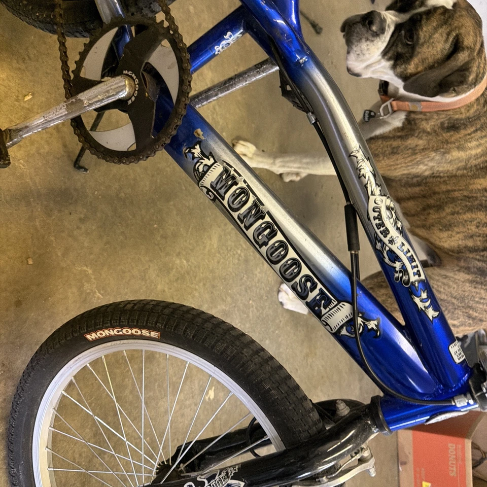Mongoose Outer Limit 20 pulgadas más antigua Foto 2 de 4