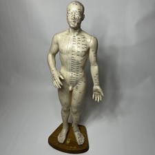 VTG EYE BRAND Chinese Acupuncture Point MALE Body 21” Tall Rubber Figure W Stand