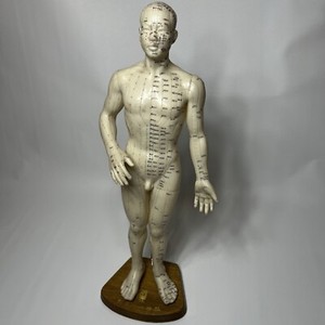 VTG EYE BRAND Chinese Acupuncture Point MALE Body 21” Tall Rubber Figure W Stand