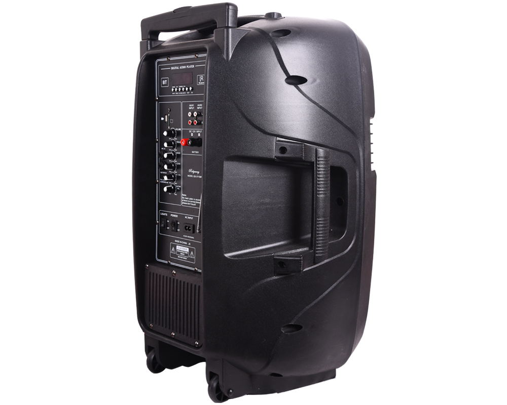 ridgeway 15 inch speaker