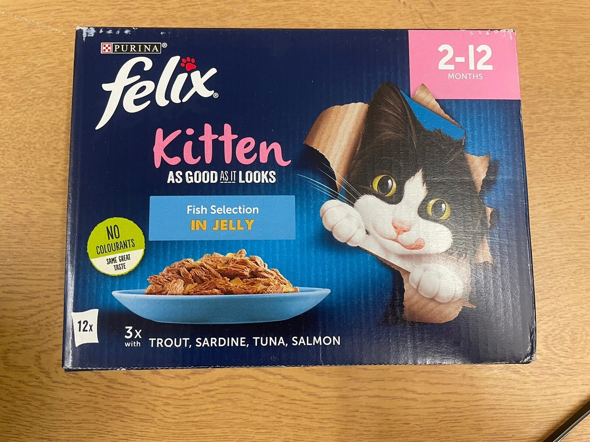 Felix As Good As It Looks Fish in Jelly Wet Kitten Food Pouches 12